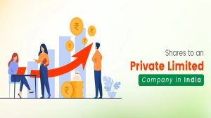 How to Issue Shares in a Private Limited Company