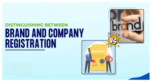 Differentiating Between Brand and Company Registration